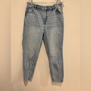 American Eagle Strigid Mom Jeans in Size 16 Long